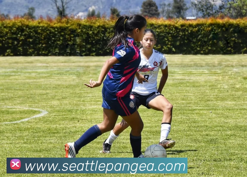 奖项证书